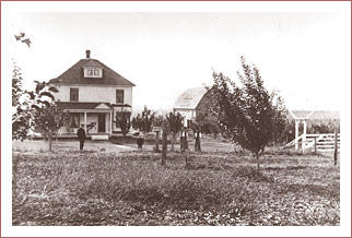 Johnson Orchards, circa 1907